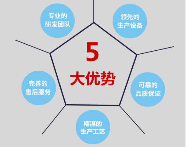 五大優(yōu)勢圖_副本.jpg